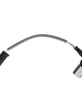 Delphi Engine Camshaft Position Sensor Left                                     - SS12187 - Image 3