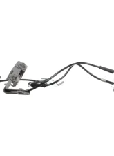 Delphi ABS Wheel Speed Sensor Front Right                                     - SS20701 - Image 2