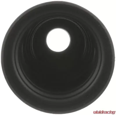Delphi Rack and Pinion Bellows Kit Audi - TBR5014