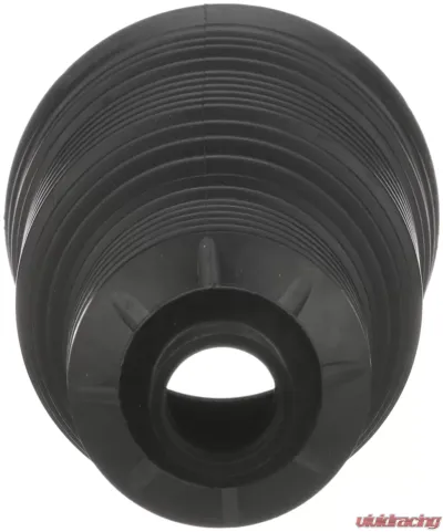 Delphi Rack and Pinion Bellows Kit Audi - TBR5014
