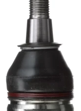 Delphi Ball Joint Front Lower                                     - TC1006 - Image 2
