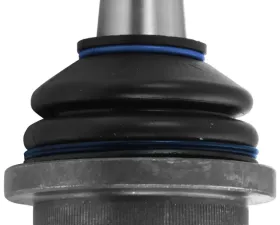 Delphi Ball Joint Front Lower