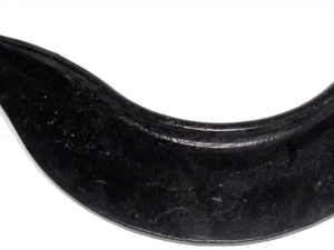 Delphi Control Arm - TC2000 - Image 5