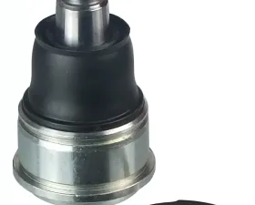 Delphi Ball Joint Honda Front Lower