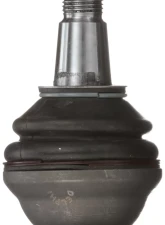Delphi Ball Joint BMW Front Lower                                     - TC3666 - Image 2