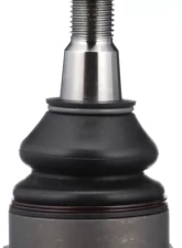 Delphi Ball Joint Front Right Upper                                     - TC5528 - Image 2