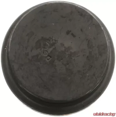 Delphi Ball Joint Dodge Ram 1500 Front Lower 2000-2001 - TC5768