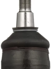 Delphi Ball Joint Front Lower                                     - TC582 - Image 5
