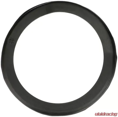 Delphi Coil Spring Seat / Insulator Rear - TC6533
