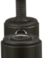 Delphi Suspension Stabilizer Bar Link Rear                                     - TC6765 - Image 5