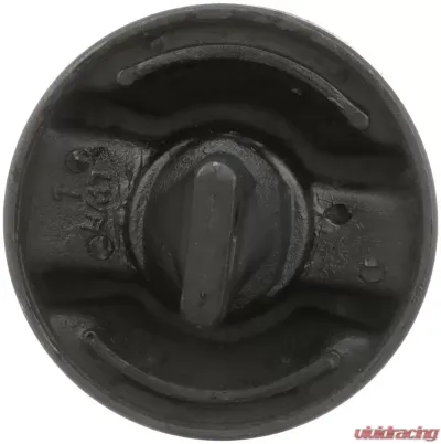Delphi Suspension Trailing Arm Bushing Rear - TD263W