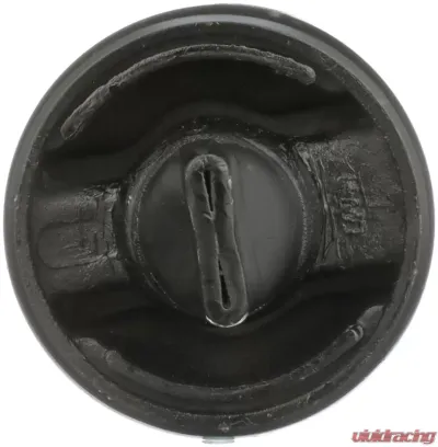 Delphi Suspension Trailing Arm Bushing Rear - TD263W