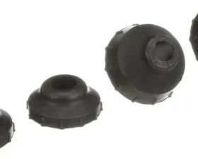 Delphi Radius Arm Bushing Kit Ford Front