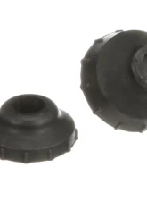 Delphi Radius Arm Bushing Kit Ford Front                                     - TD4610W - Image 4