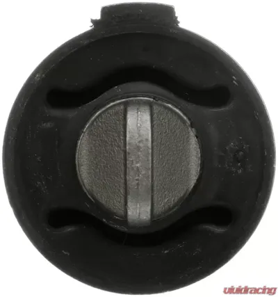 Delphi Suspension Trailing Arm Bushing Rear - TD4798W