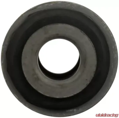 Delphi Suspension Control Arm Bushing American Motors Front Lower - TD4829W
