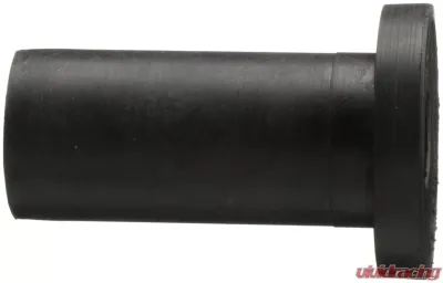Delphi Rack and Pinion Mount Bushing Front - TD4894W