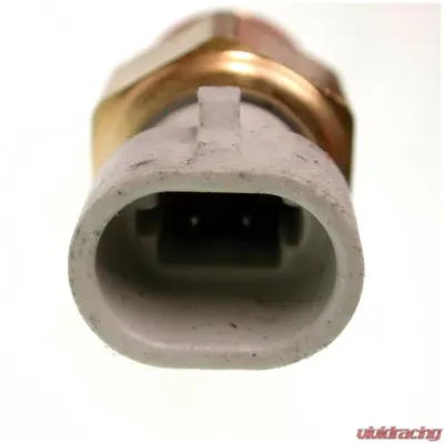 Delphi Air Charge Temperature Sensor - TS10077