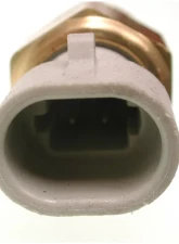 Delphi Air Charge Temperature Sensor                                     - TS10080 - Image 4