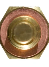 Delphi Engine Coolant Temperature Sensor                                     - TS10250 - Image 5