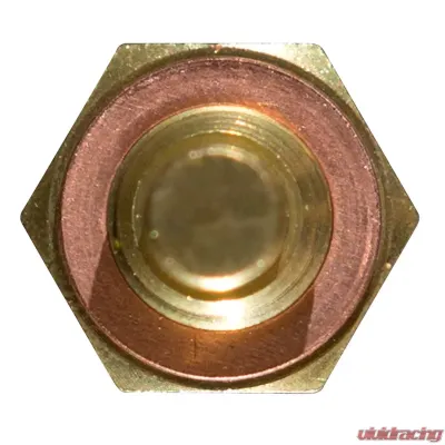 Delphi Engine Coolant Temperature Sensor - TS10250