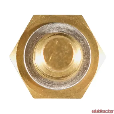 Delphi Engine Coolant Temperature Sensor BMW - TS10258