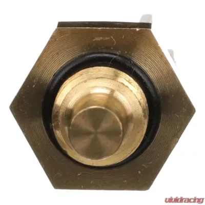 Delphi Engine Coolant Temperature Sensor - TS10288