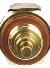 Delphi Engine Coolant Temperature Sensor                                     - TS10289 - Image 2