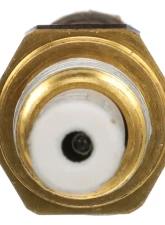 Delphi Air Charge Temperature Sensor Mitsubishi Eclipse 1995-1996 2.0L 4-Cyl                                     - TS10534 - Image 3
