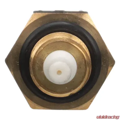 Delphi Air Charge Temperature Sensor - TS10535
