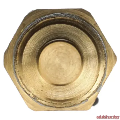 Delphi Engine Coolant Temperature Sensor - TS10545