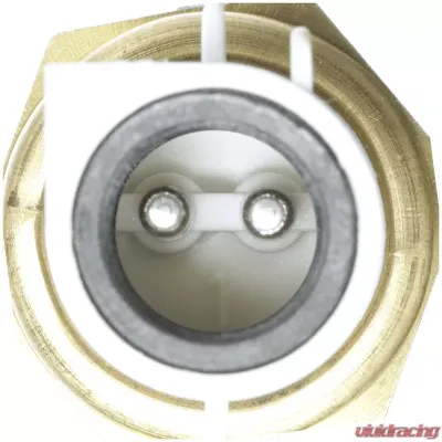 Delphi Air Charge Temperature Sensor - TS10557