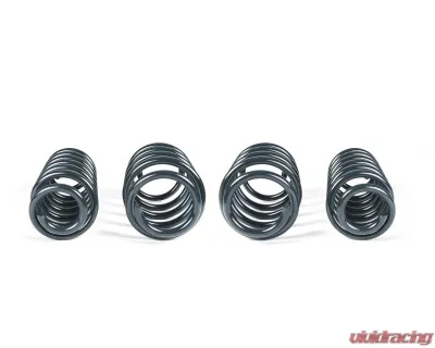 RacingLine Sports Spring Kit Audi S3 8Y - RL-VWR3131S3