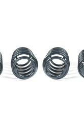 RacingLine Sport Springs Front Wheel Drive Volkswagen Tiguan II                                     - RL-VWR31F020 - Image 3