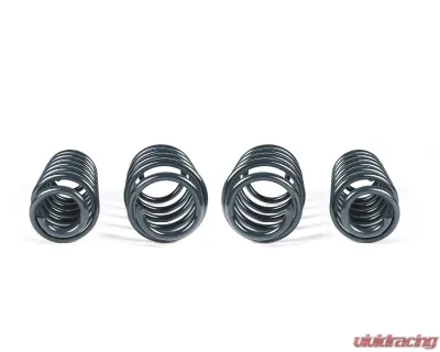 RacingLine Sport Springs Front Wheel Drive Volkswagen Tiguan II - RL-VWR31F020