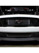 Mishimoto Black Thermostatic Oil Cooler Kit Ford Mustang GT 2018+                                     - MMOC-MUS8-18TBK - Image 8