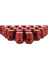 Mishimoto M12x1.5 Steel Acorn Lug Nuts - 24pcs                                     - MMLG-AC1215-24RD - Image 2