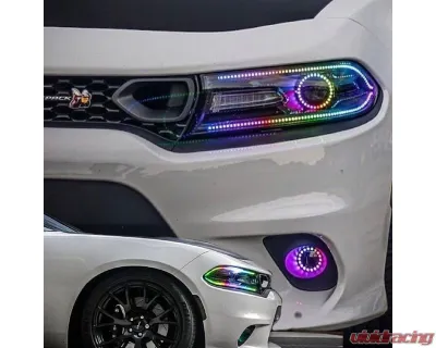 Lighting Trendz RGBW DRL Boards Bundle Dodge Charger 2015-2020 - BN0010
