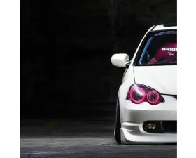 Lighting Trendz Flow Series Halo Bundle Acura RSX 2002-2004