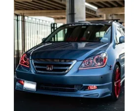 Lighting Trendz RGBW Halo & DRL Bundle Honda Odyssey 2005-2010