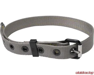 Werner ProForm Replacement Belt w/o Pad - M620005