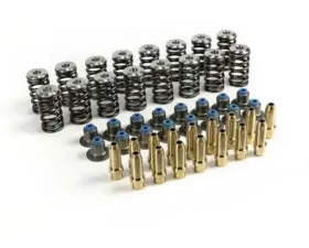 MAPerformance Valvetrain Upgrade Kit Ford Mustang Ecoboost 2015-2019