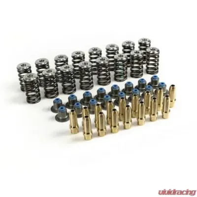 MAPerformance Valvetrain Upgrade Kit Ford Mustang Ecoboost 2015-2019 - MAP EBM-VTK