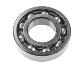 World American BW & NP Bearing 206