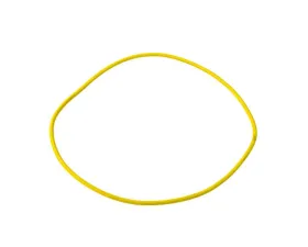 World American Dana 60 O-Ring