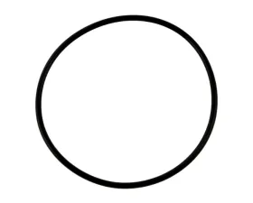 World American Outer O-Ring