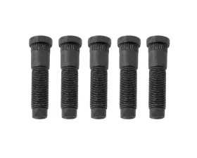 World American Wheel Stud Ford