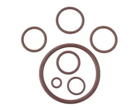 World American O-Ring Kit OK1000B