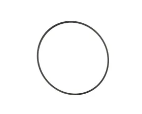 World American O-Ring