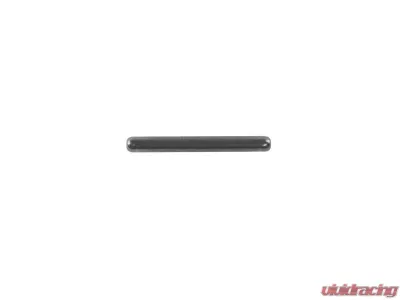 World American NP203 Needle Bearing - Q8113